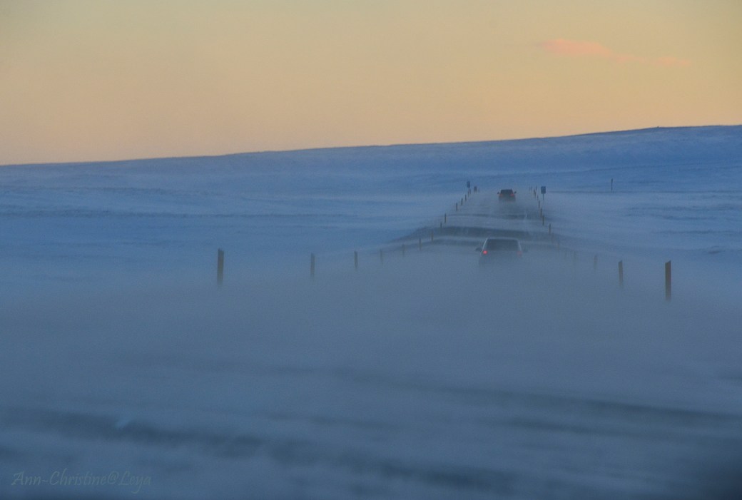 Island 2016 513_copy