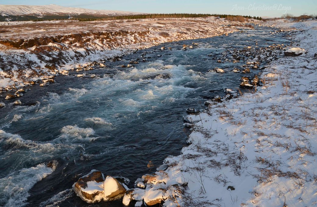 Island 2016 583_copy