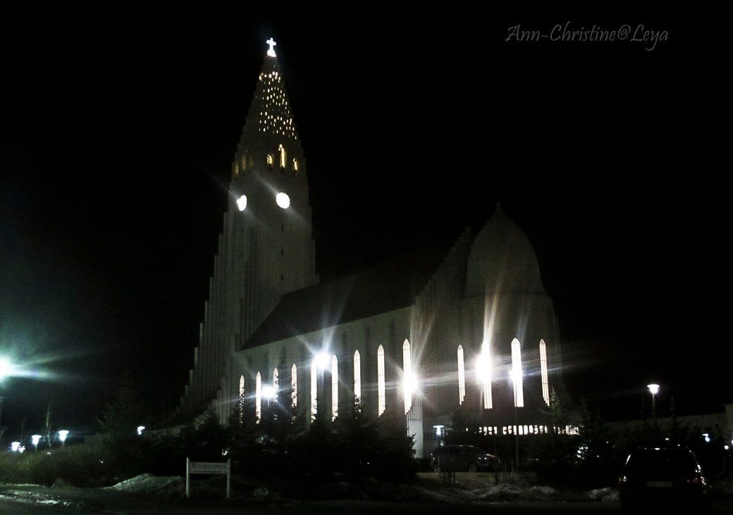 Island lilla kameran 012_copy1