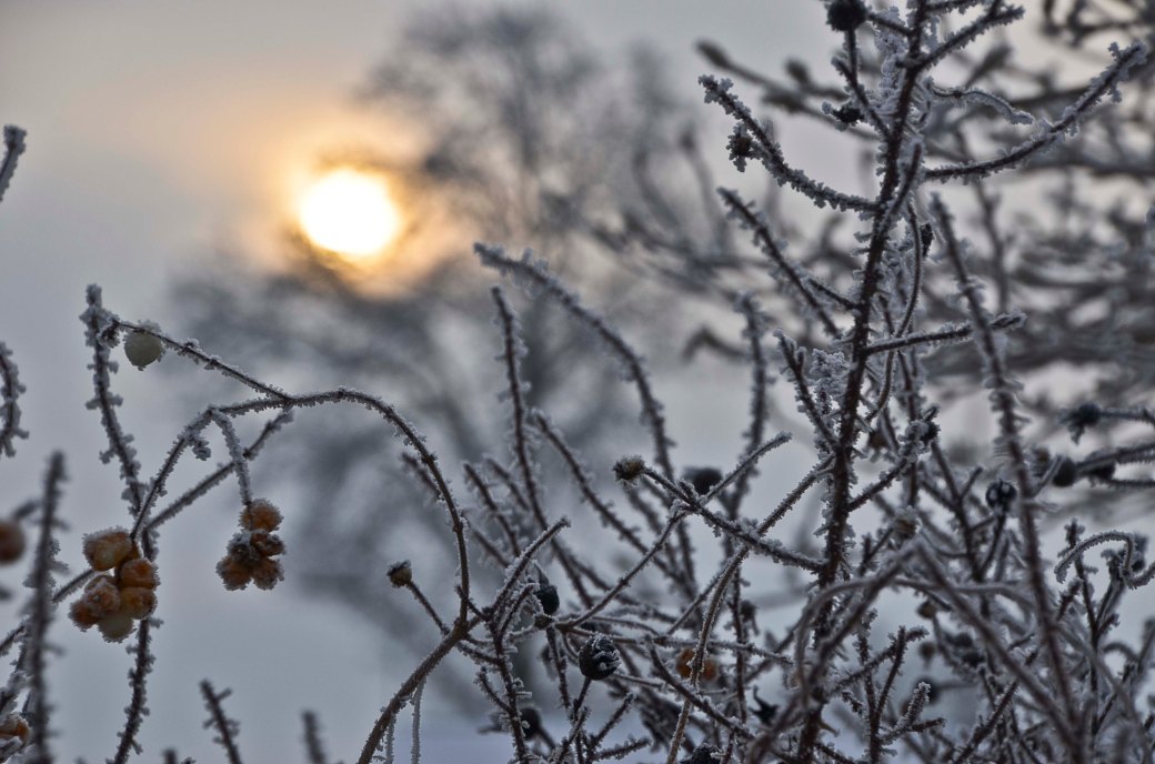 Blandat och fototisdag Värsjön och Hovdala 073_copy