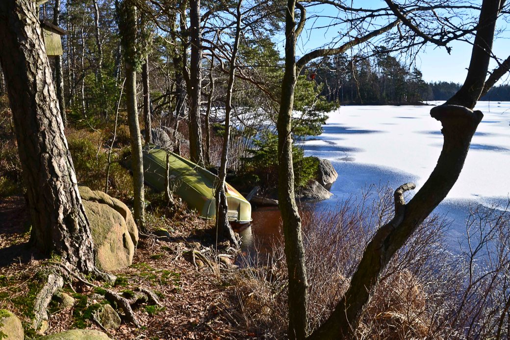 Blandat och fototisdag Värsjön och Hovdala 305_copy