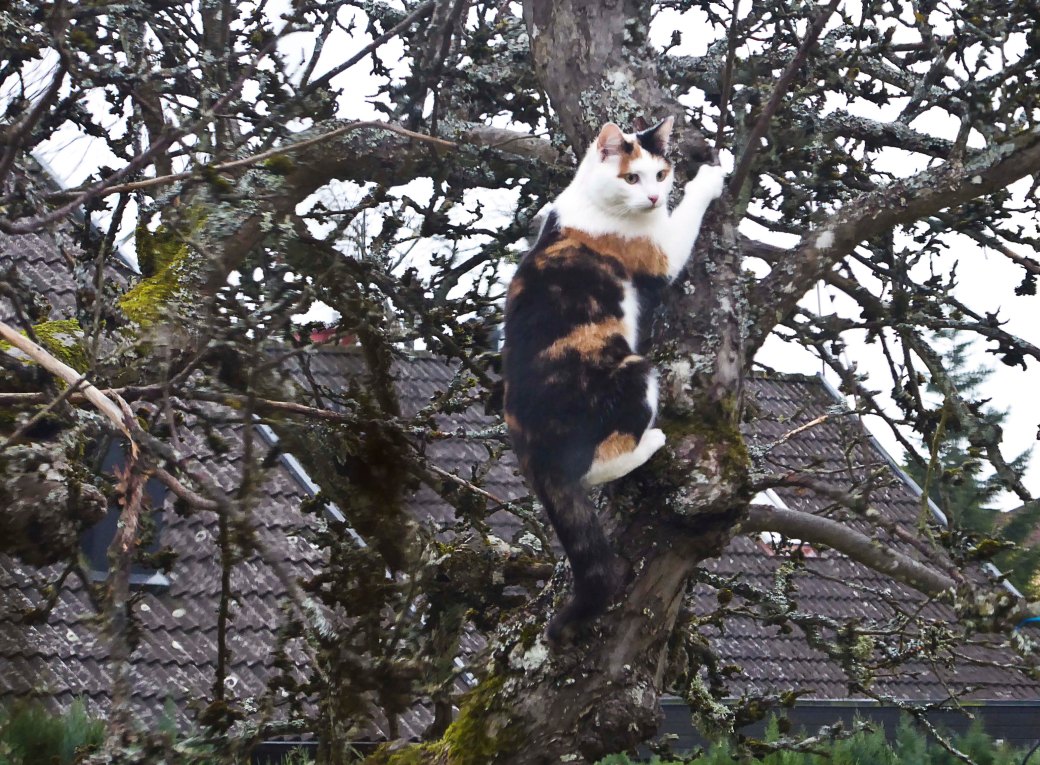 Bokfotografier 008_copy