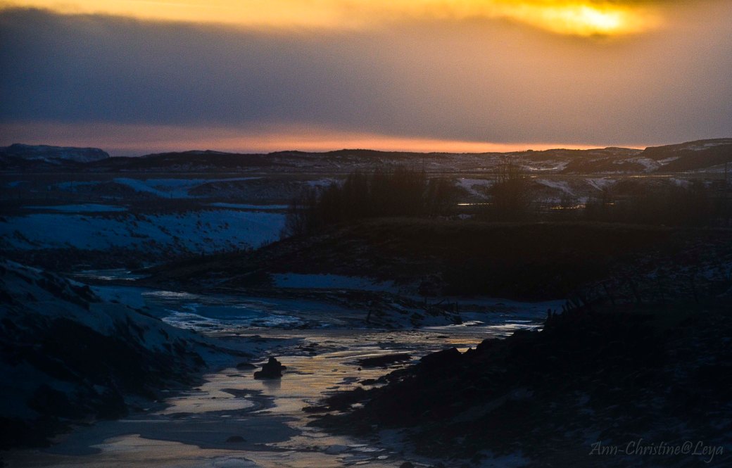 Island 2016 652_copy