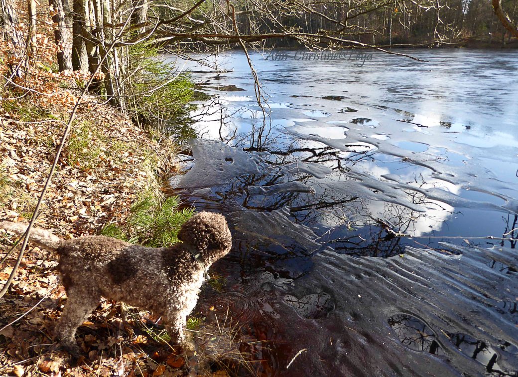 Testbilder Vedema Ny kamera 047_copy