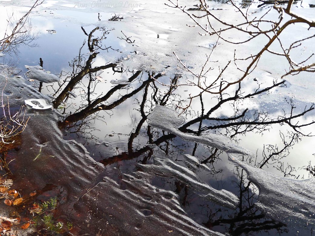 Testbilder Vedema Ny kamera 054_copy