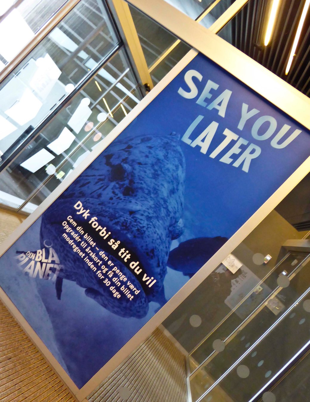 Den Blå Planet 373_copy