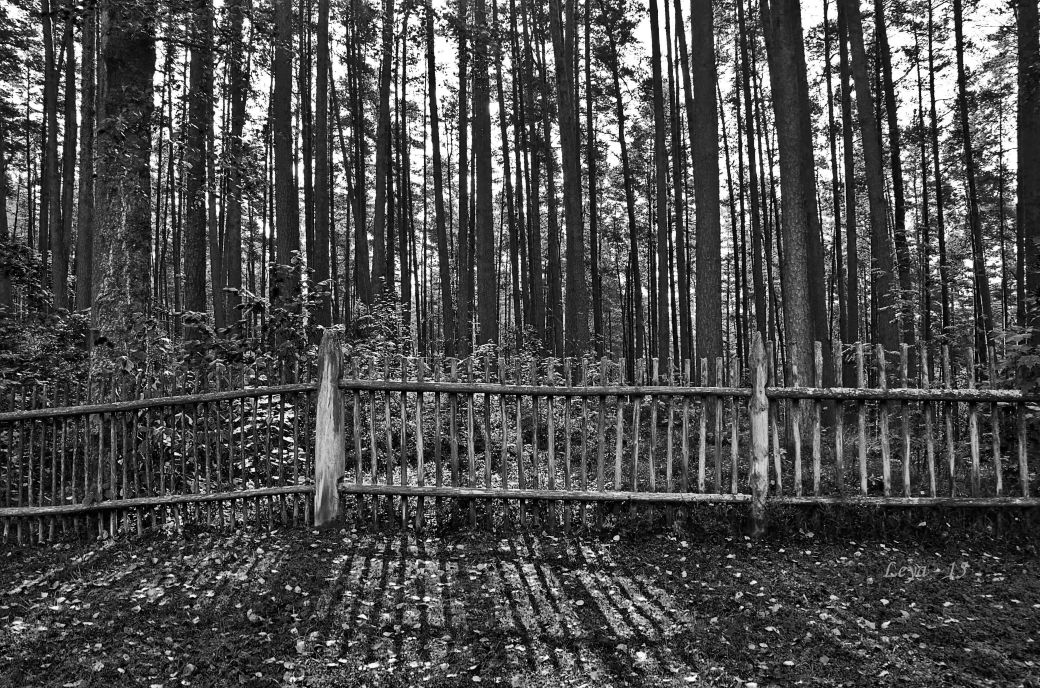 Riga med omnejd 2015 713_copy1