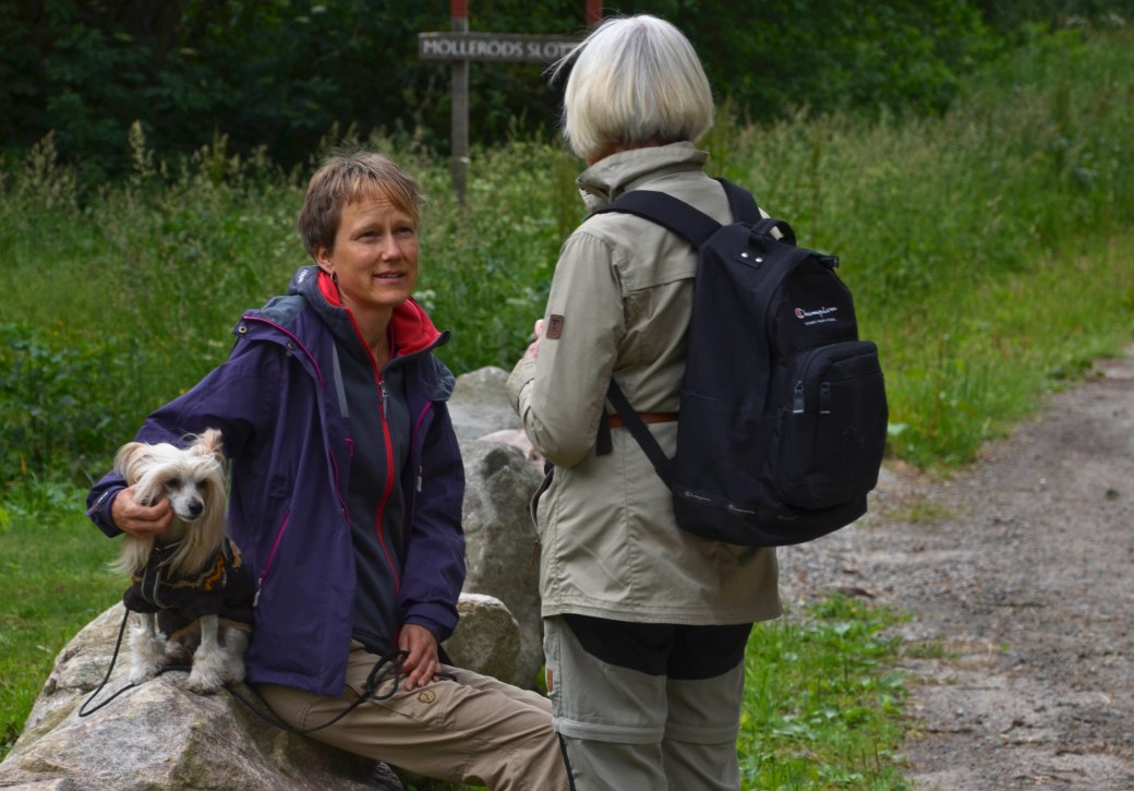 De vilda blommornas dag 010_copy