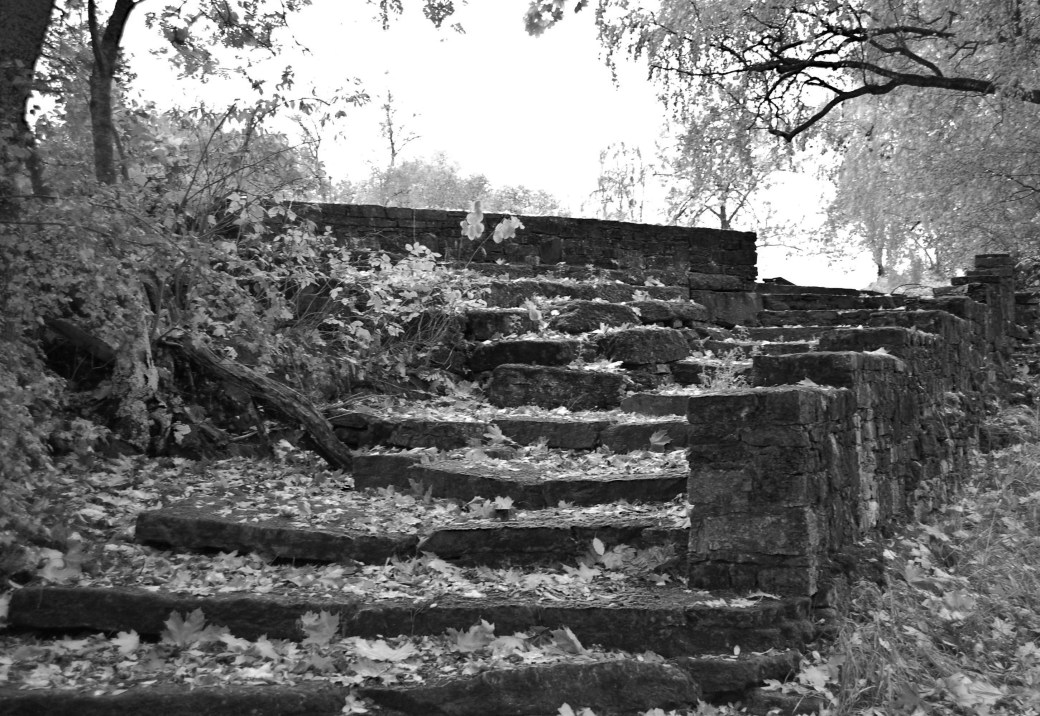 Mera Hamar 025_copy1