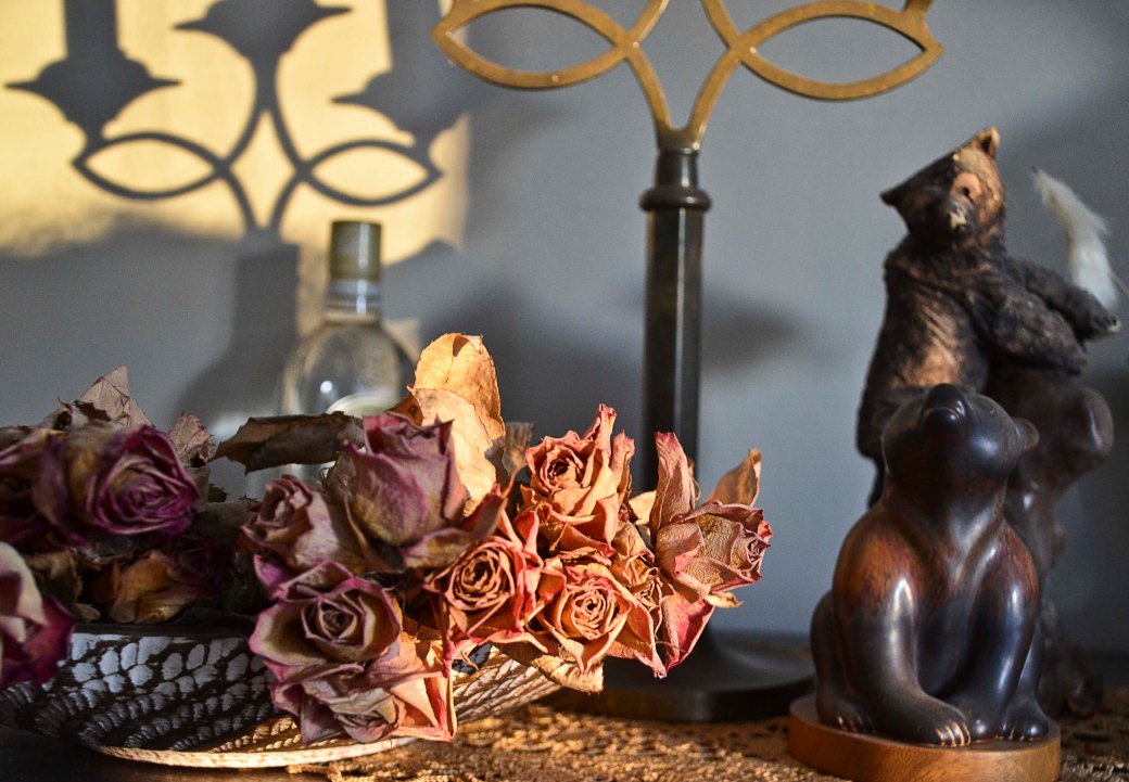 Orkide mm sommar 2016 017_copy