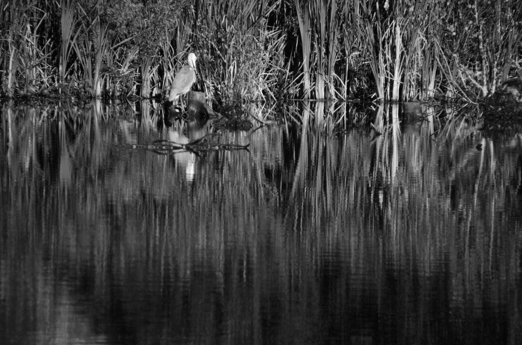 magle-och-ignaberga-host-095_copy