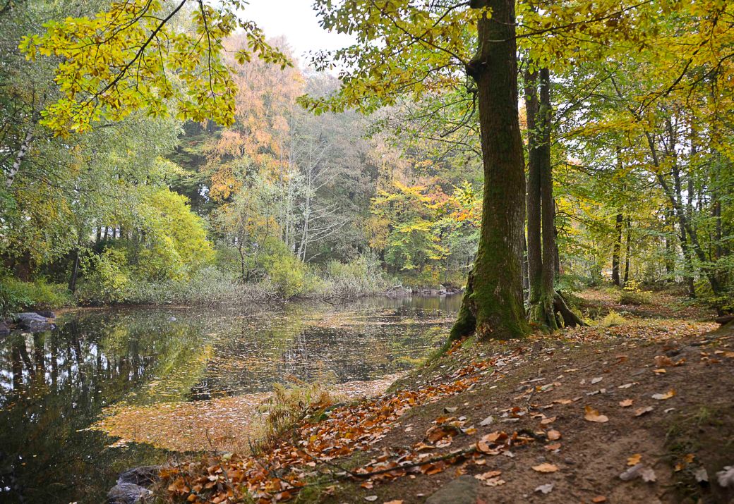 vittsjo-och-hostens-smavagar-114_copy