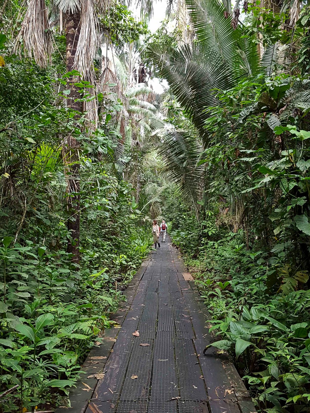 20161204_125804_copy