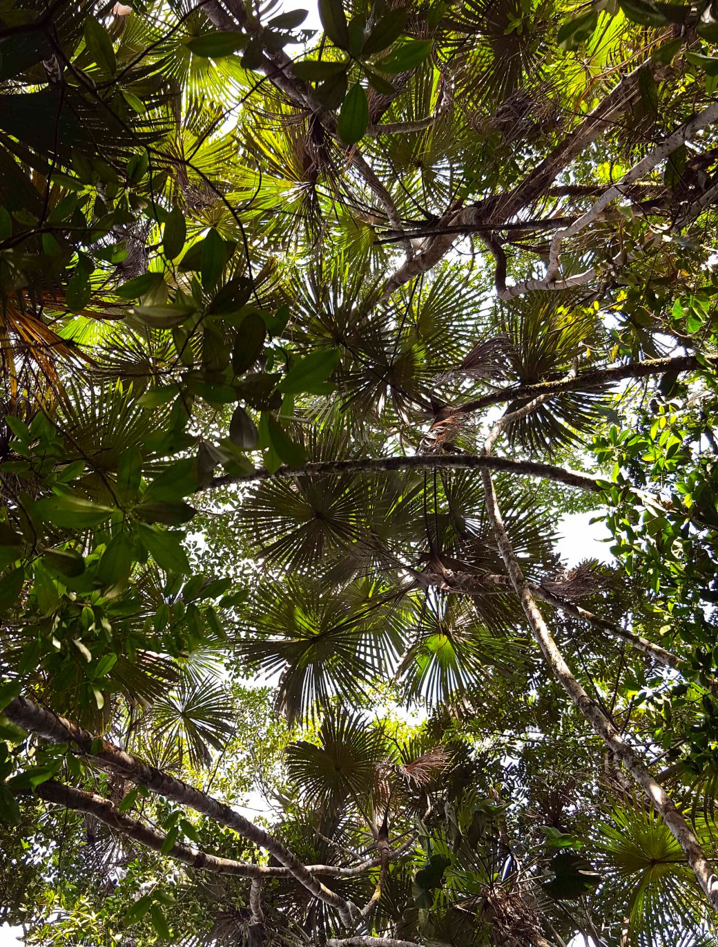 20161205_160703_copy1