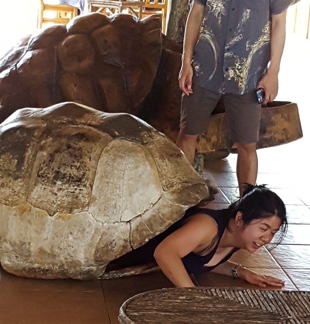 20161207_135214_copy