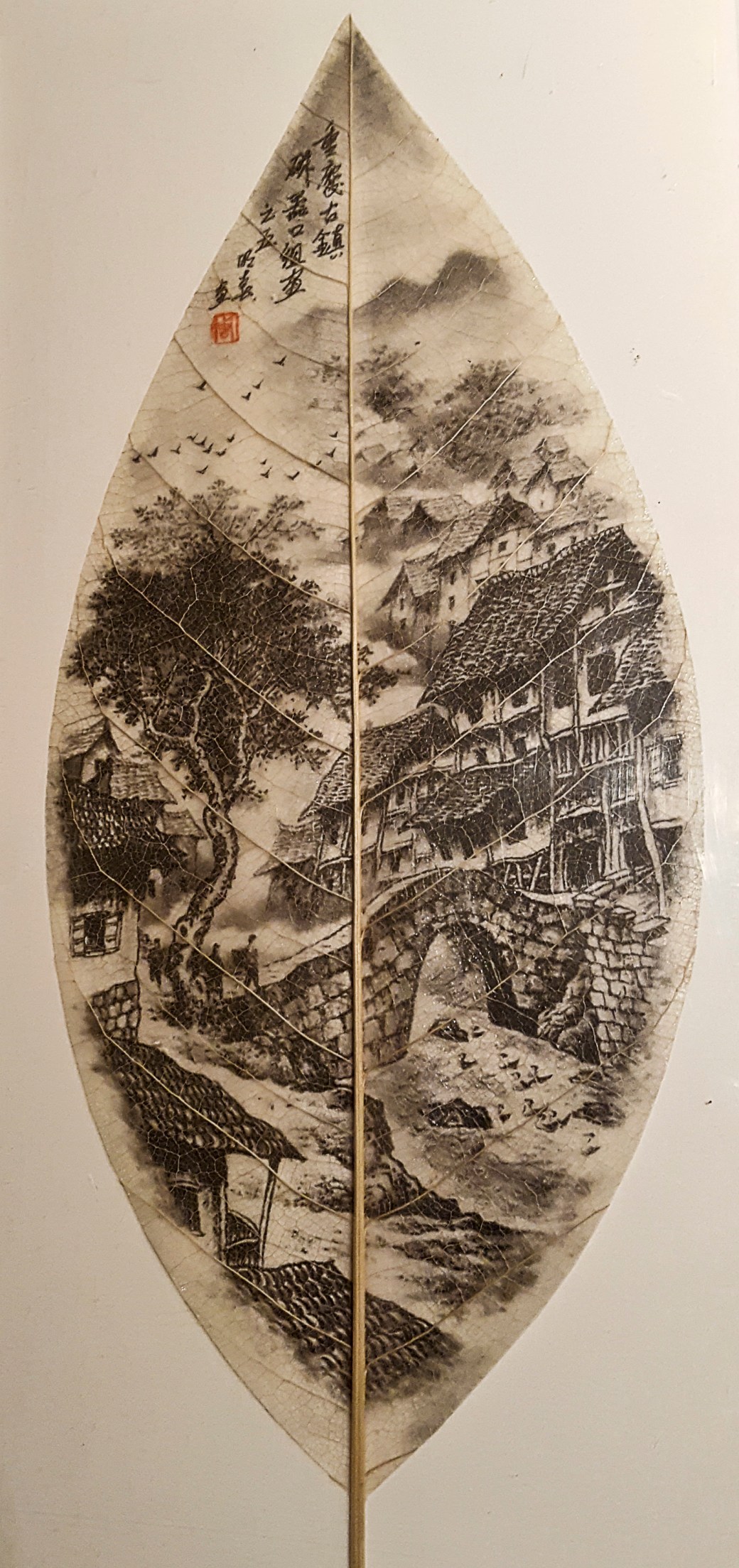 20170101_214539_copy