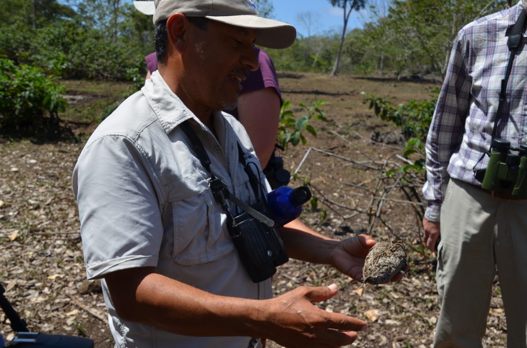 amazonas-2-och-galapagos-1-445
