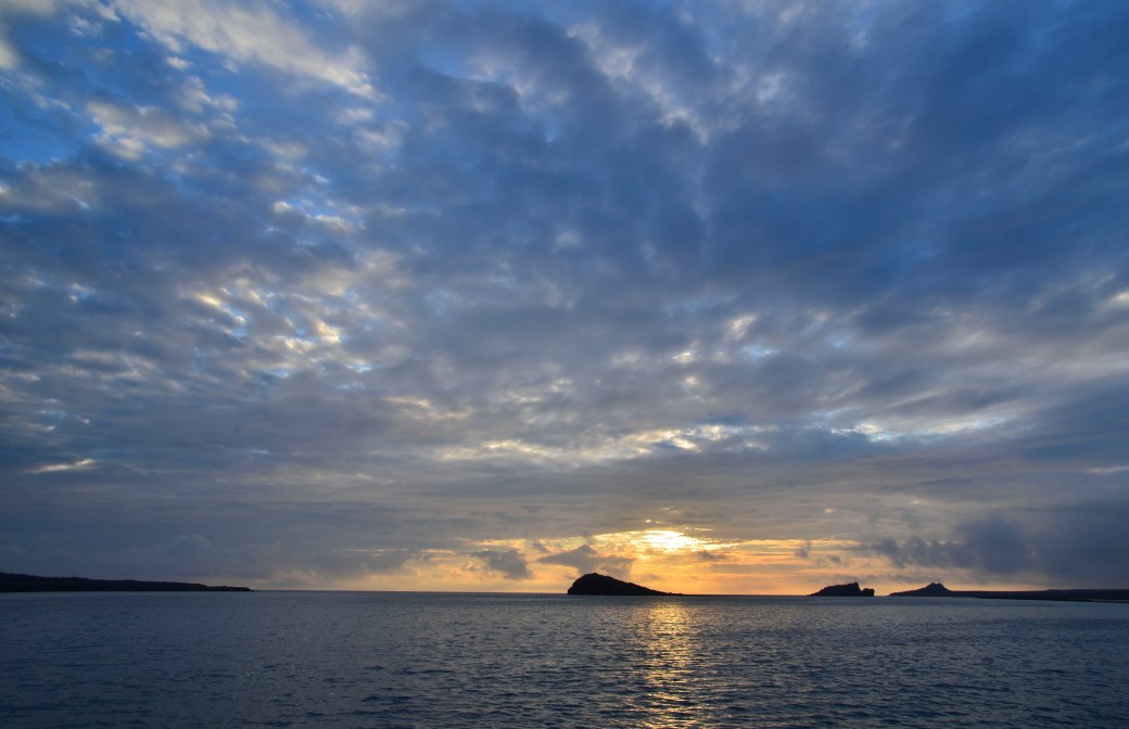 galapagos-3-and-4-043_copy