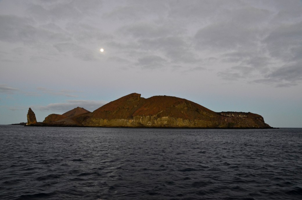 galapagos-3-and-4-1053_copy