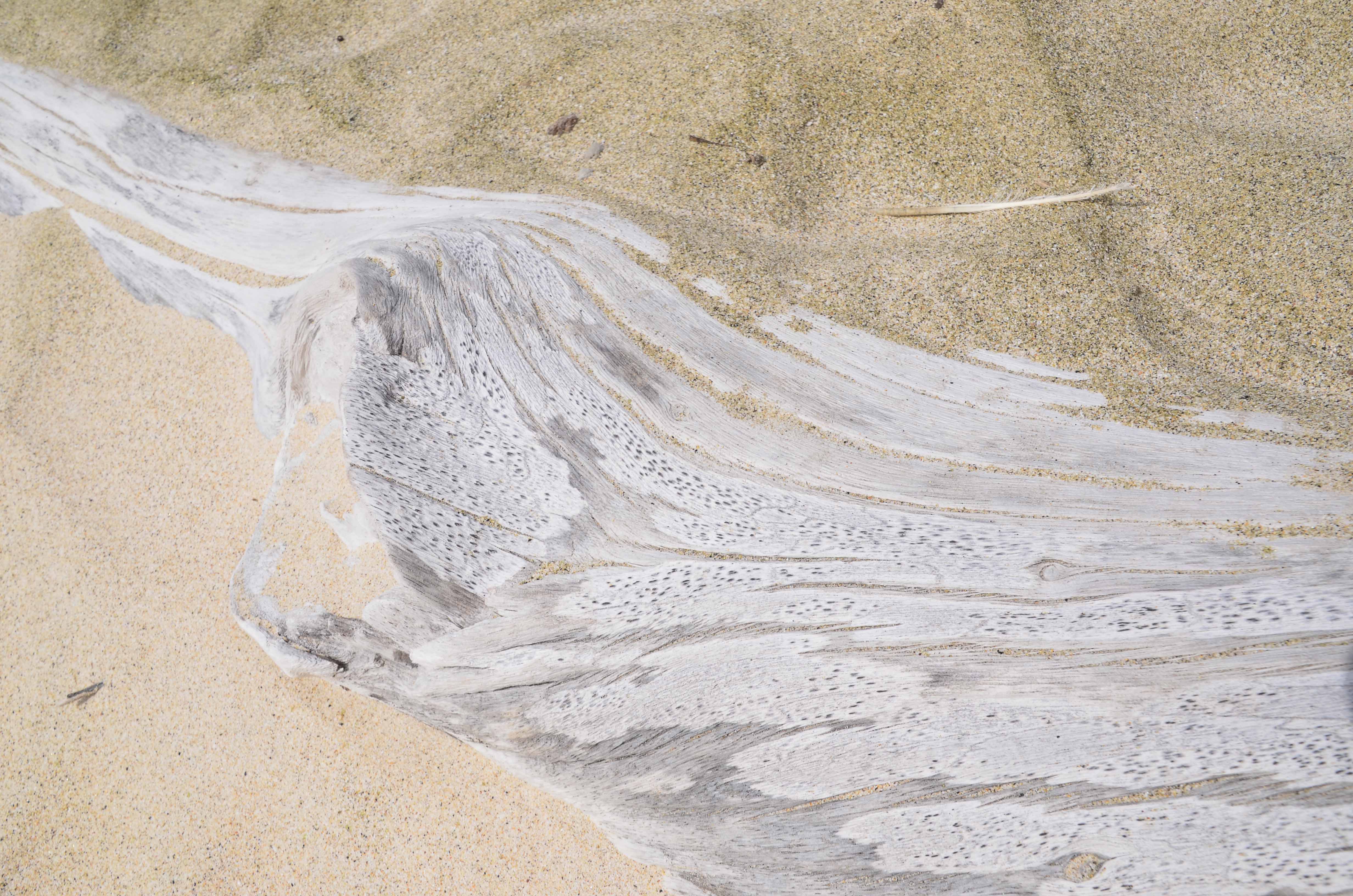 galapagos-3-and-4-632_copy