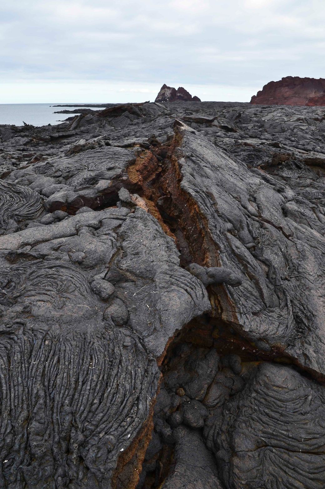 galapagos-3-and-4-945_copy