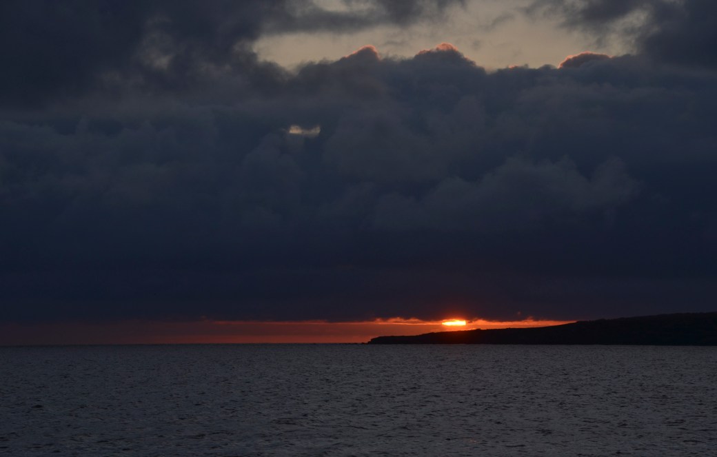 galapagos-3-and-4-1558_copy