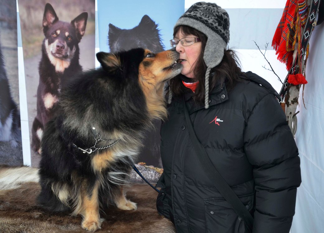 norrland-och-vasterbotten-091_copy