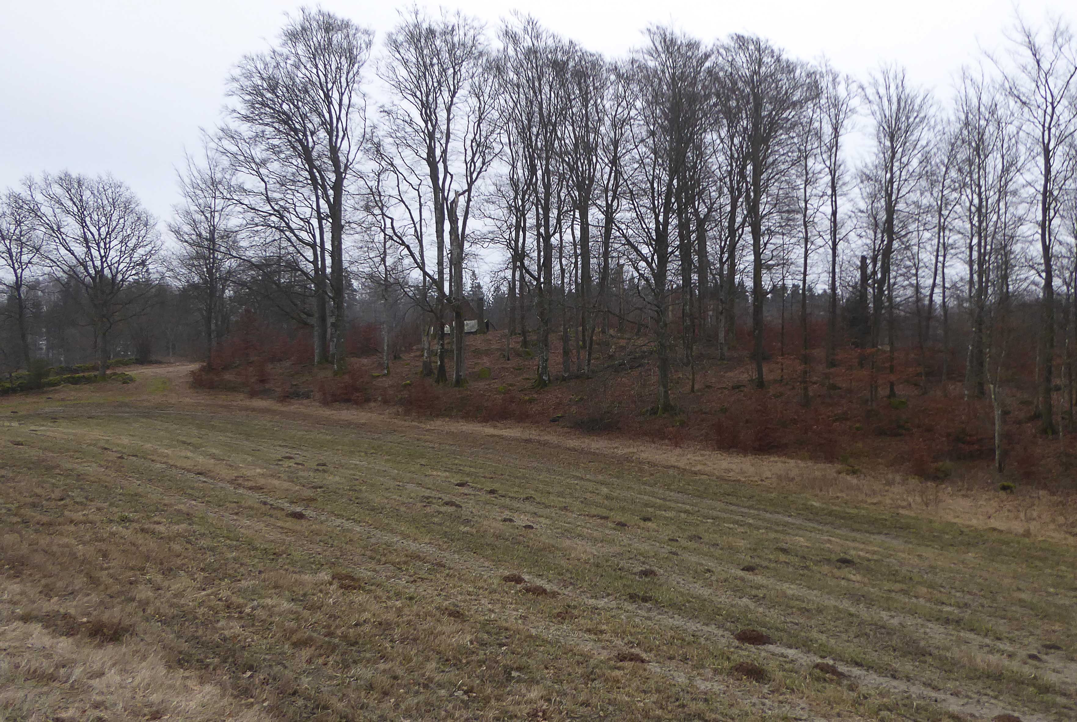 vinter-vedema-och-varsjon-001_copy