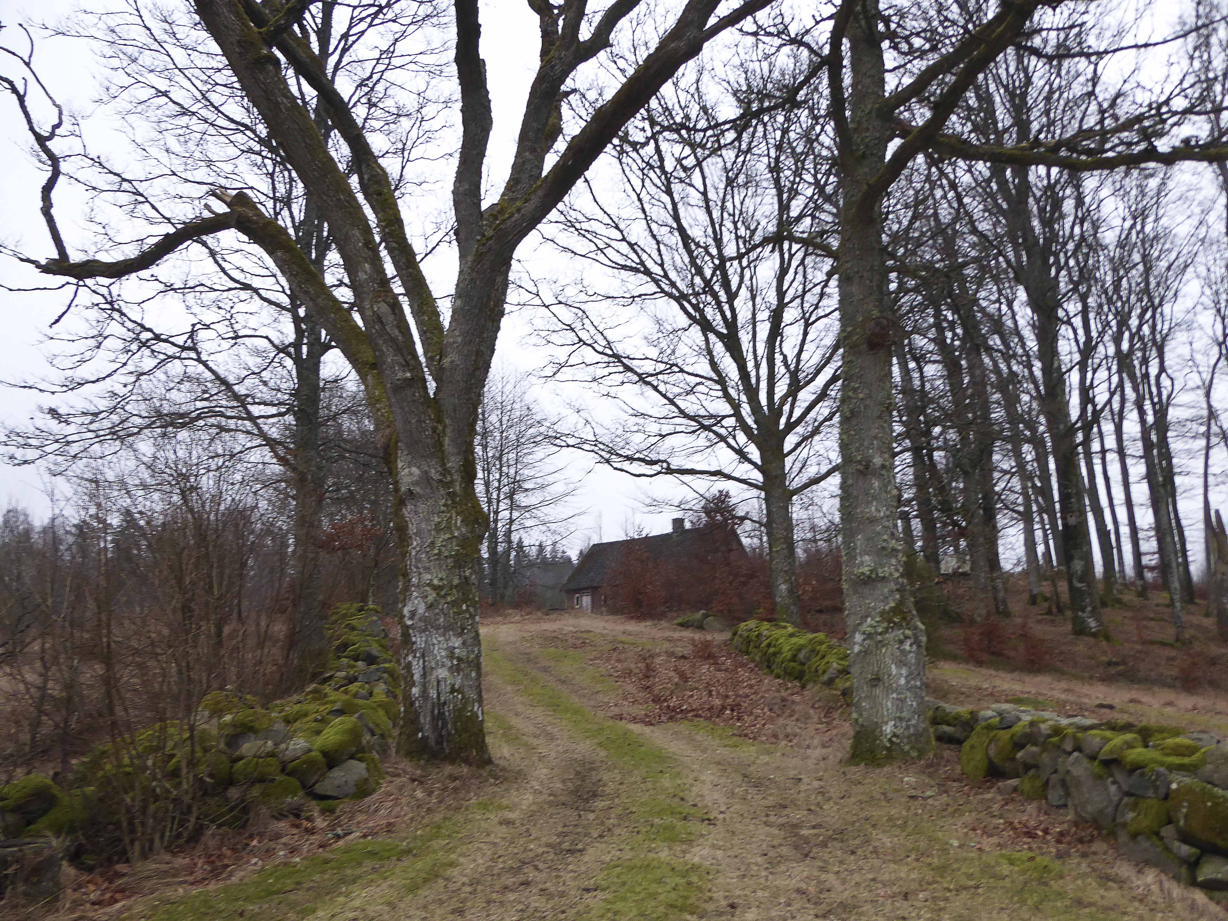 vinter-vedema-och-varsjon-004_copy