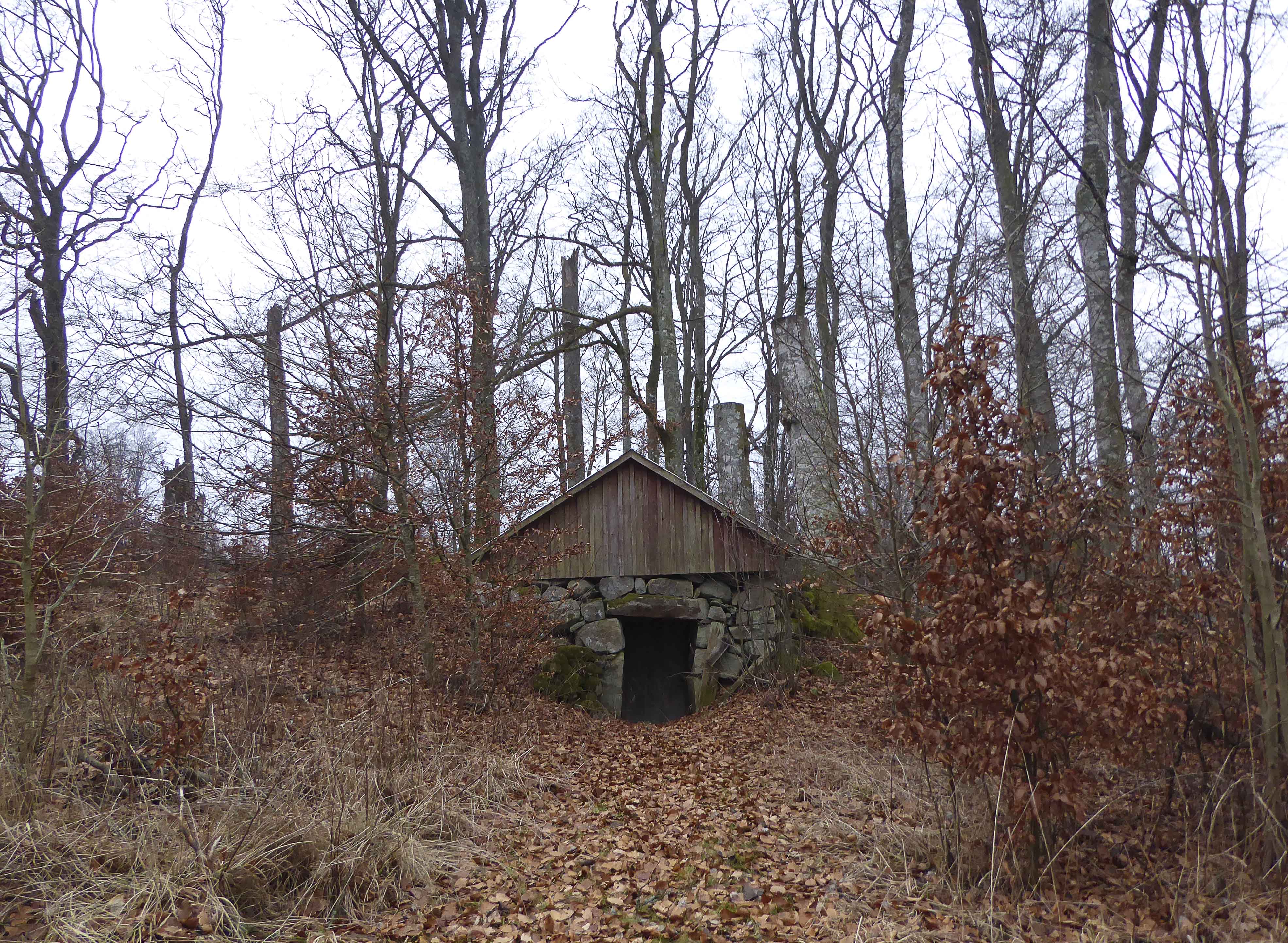 vinter-vedema-och-varsjon-010_copy