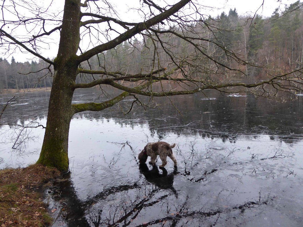 vinter-vedema-och-varsjon-072_copy1