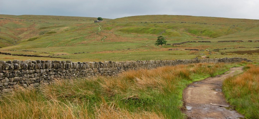 scarborough-7-561_copy