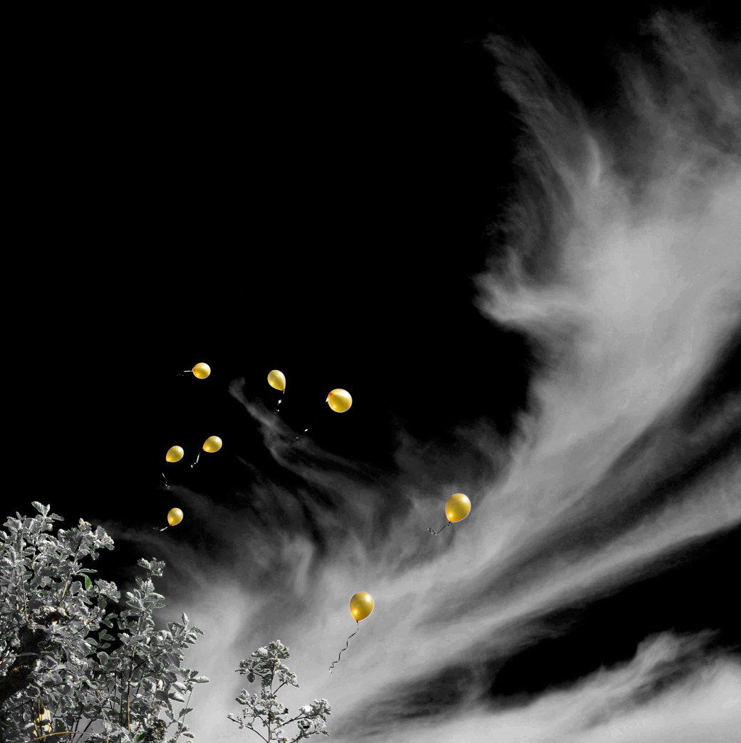 student-kcm-2015-129_copy1