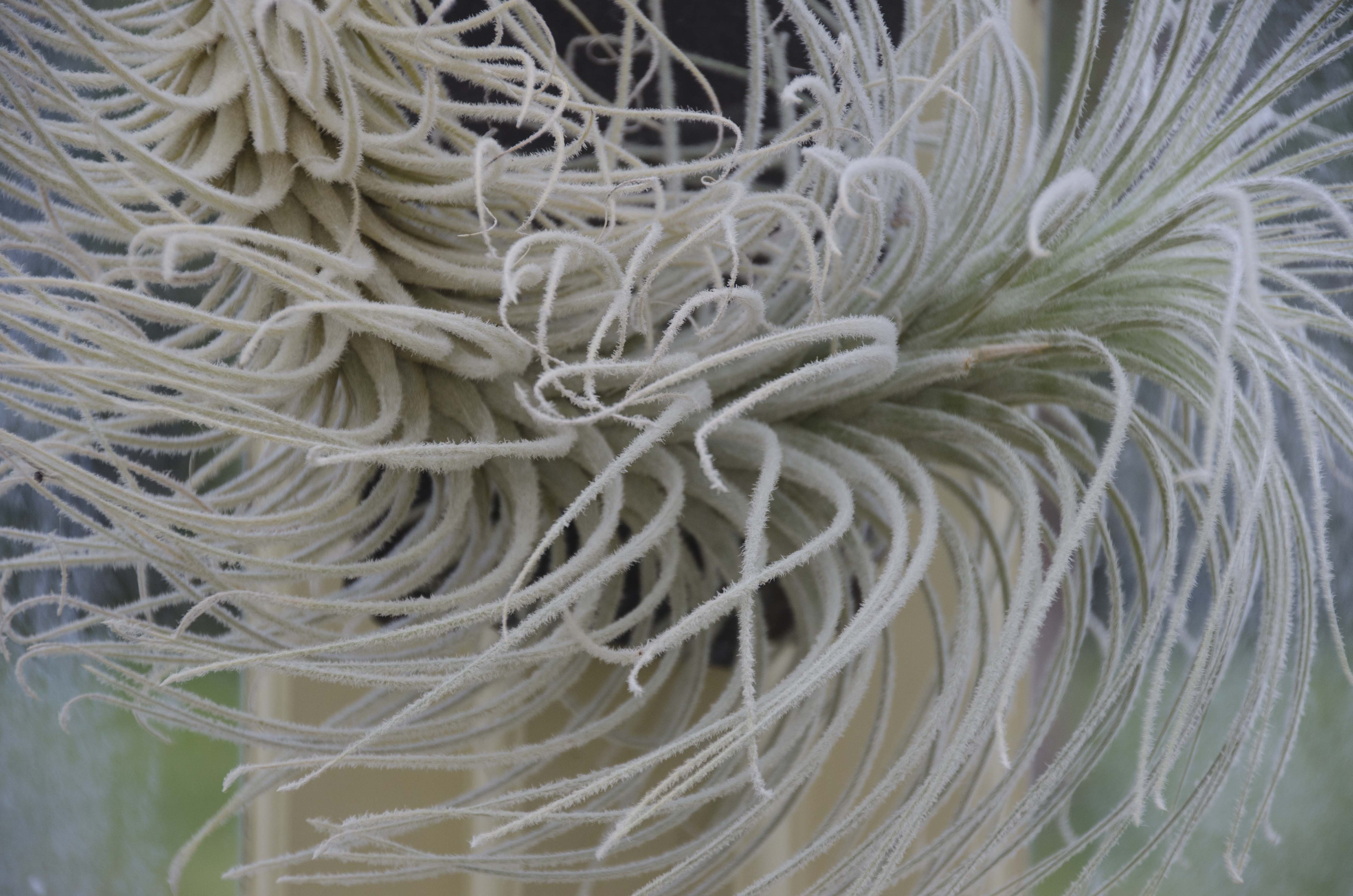 Irland 2017 279_copy