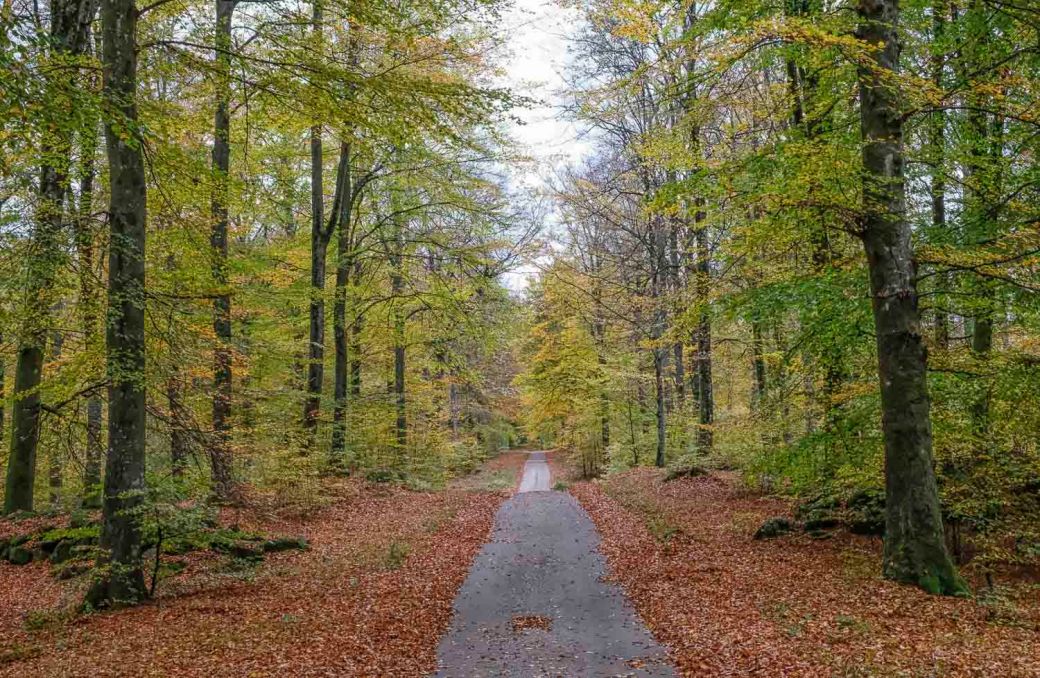 Hovdala med BI 2018 079-Redigera