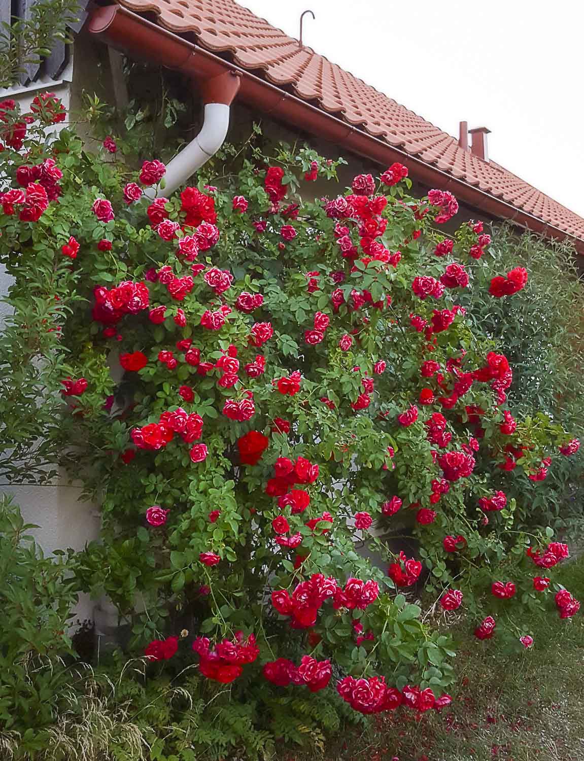 20180702_215601-Redigera