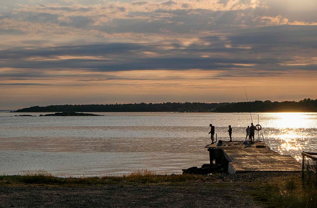 Trädgården och Millegarne Midsommar 046-2